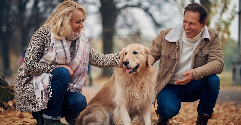 An attractive middle aged couple are petting their golden retriever whilst enjoying an active lifestyle in the woods - motivation to lose weight so that you can enjoy your life! 