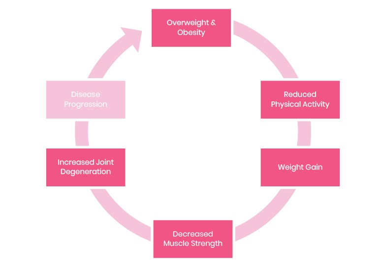 Motivation to lose weight. This diagram describes the negative cycle of being overweight, leading to reduced physical activity, weight gain and further joint degeneration 