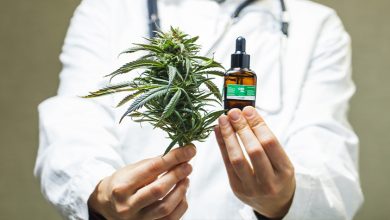 CBD oil is made from the hemp plant