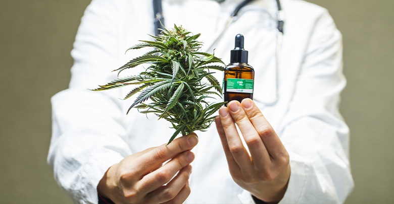 CBD oil is made from the hemp plant
