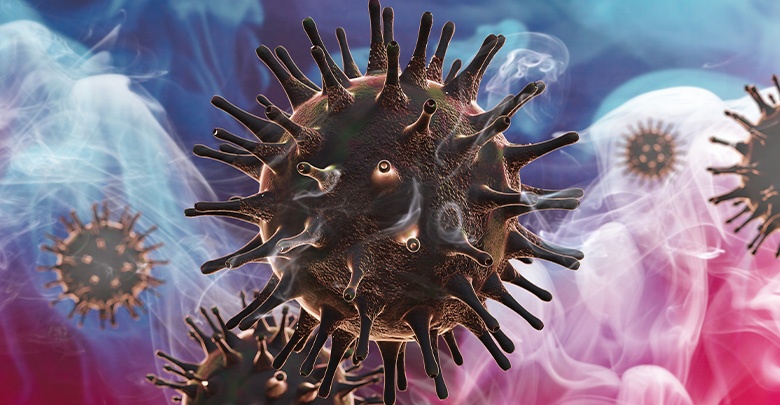 an image of the coronavirus